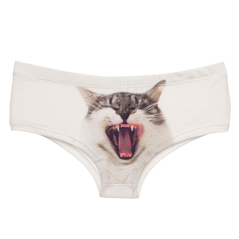 Screaming Kitty by Sassypants