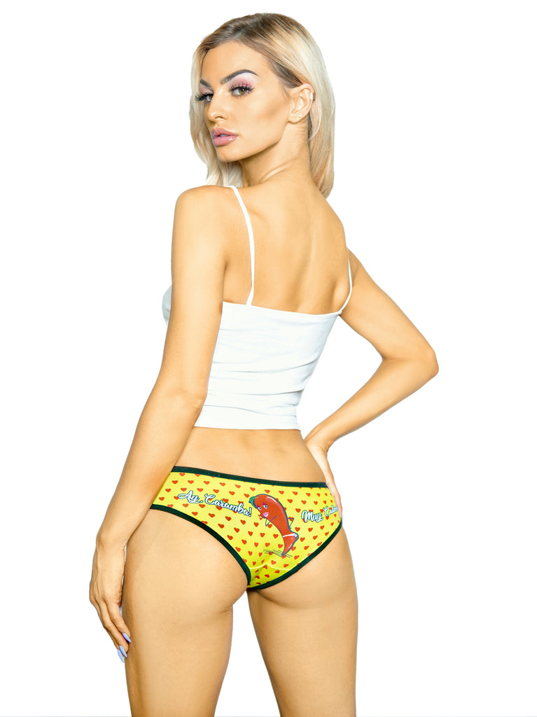 Hot Mama Bikini Panties  Sassypants Fashion Underwear